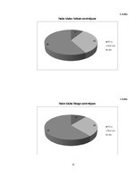 Referāts 'Nakts klubu biznesa neveiksmes un to analīze Preiļos', 21.