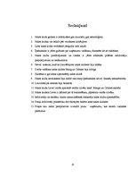 Referāts 'Nakts klubu biznesa neveiksmes un to analīze Preiļos', 24.