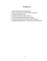 Referāts 'Nakts klubu biznesa neveiksmes un to analīze Preiļos', 25.