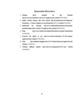 Referāts 'Nakts klubu biznesa neveiksmes un to analīze Preiļos', 26.