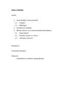 Referāts 'Vai kristietība ir komunistiska', 2.