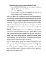 Konspekts 'Romiešu civiltiesību avoti', 2.