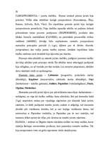 Konspekts 'Romiešu civiltiesību avoti', 3.