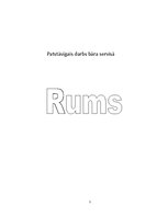Referāts 'Rums un tā vēsture', 1.