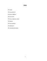 Referāts 'Rums un tā vēsture', 2.