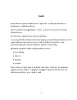 Referāts 'Rums un tā vēsture', 3.