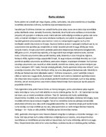 Referāts 'Rums un tā vēsture', 4.