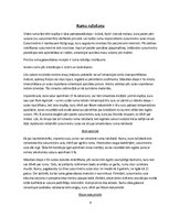 Referāts 'Rums un tā vēsture', 6.