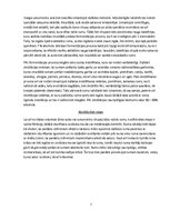 Referāts 'Rums un tā vēsture', 7.