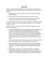 Referāts 'Rums un tā vēsture', 8.