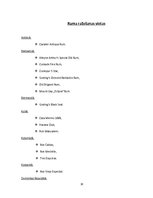 Referāts 'Rums un tā vēsture', 10.