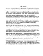 Referāts 'Rums un tā vēsture', 16.