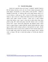 Referāts 'Interaktīvo mācību līdzekļu pielietojums mācību procesā', 7.