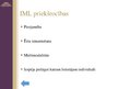 Referāts 'Interaktīvo mācību līdzekļu pielietojums mācību procesā', 23.