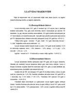 Referāts 'Starptautiskais mārketings', 12.