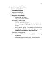 Referāts 'Starptautiskais mārketings', 25.