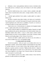 Referāts 'Pašvaldību saistošo noteikumu loma un vieta normatīvo aktu hierarhijā', 7.