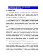 Referāts 'Ūdenssaimniecības risinājumi pilsētā', 7.