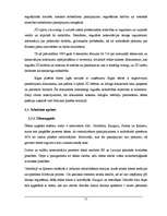 Referāts 'Ūdenssaimniecības risinājumi pilsētā', 11.