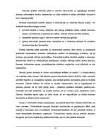 Referāts 'Ūdenssaimniecības risinājumi pilsētā', 22.