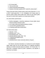 Referāts 'Ūdenssaimniecības risinājumi pilsētā', 49.