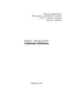 Referāts 'Uzņēmuma dibināšana', 1.