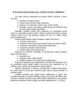 Konspekts 'Sadales loģistika', 9.