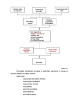 Referāts 'Faktori, kas ietekmē psiholoģiskā klimata kvalitāti', 5.