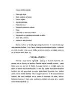 Konspekts 'Cukura diabēts', 4.