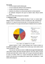Referāts 'Mūzikas mācīšanās un skolēnu mācību sasniegumi', 19.