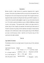 Referāts 'Business structure', 3.