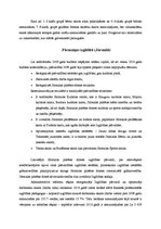 Referāts 'Jūrmalas izglītības sistēmas analīze', 17.