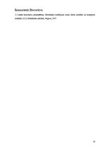 Referāts 'Lentas konveijera projektēšana', 26.