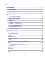 Biznesa plāns 'Projekta kopsavilkums tūrisma operatoram', 2.