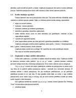 Biznesa plāns 'Projekta kopsavilkums tūrisma operatoram', 6.