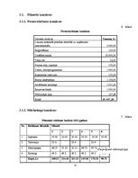 Biznesa plāns 'Projekta kopsavilkums tūrisma operatoram', 32.