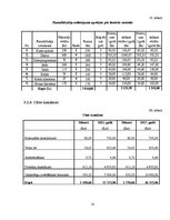 Biznesa plāns 'Projekta kopsavilkums tūrisma operatoram', 35.