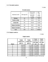 Biznesa plāns 'Projekta kopsavilkums tūrisma operatoram', 36.