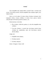 Referāts 'Energoefektivitātes uzlabošana Baložu vidusskolā', 2.