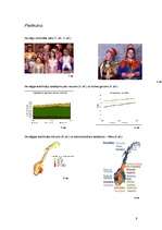 Referāts 'Norvēģijas vēsture, galvenie notikumi, valsts iekārta, iedzīvotāji, reliģija un ', 9.