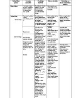 Prakses atskaite 'Prakse pirmsskolā', 2.