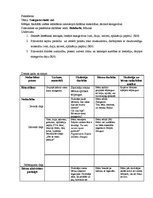 Prakses atskaite 'Prakse pirmsskolā', 9.