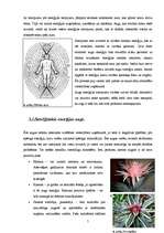 Referāts 'Telpaugu nozīme viesmīlības atmosfēras radīšanā', 7.