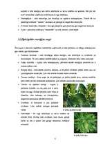 Referāts 'Telpaugu nozīme viesmīlības atmosfēras radīšanā', 8.