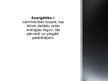 Prezentācija 'Enerģētika un kurināmā rūpniecība', 2.