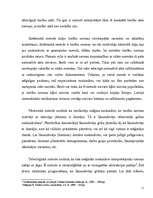 Referāts 'Tiesību normu oficiālā un neofociālā iztulkošana', 11.