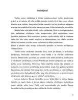 Referāts 'Tiesību normu oficiālā un neofociālā iztulkošana', 18.