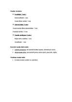 Konspekts 'Mājturības stundas konspekts 3.klasei.Tēma - krustdūrienu izšūšana', 2.