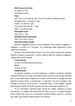 Referāts 'Interaktīvā tāfele un tās lietošanas rokasgrāmata ', 10.