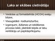 Prezentācija 'Koksnes lakas', 10.